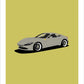 An original hand drawn poster of a gorgeous grey 2021 Ferrari Roma F169 2021 on a soft green background.