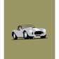A beautiful hand drawn print of a classic silver 1966 Shelby Cobra Roadster on a green background.